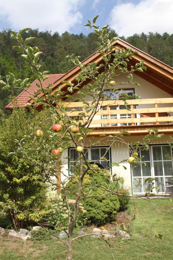 Ferienwohnung Purbach Muggendorf (Lower Austria) Exterior photo